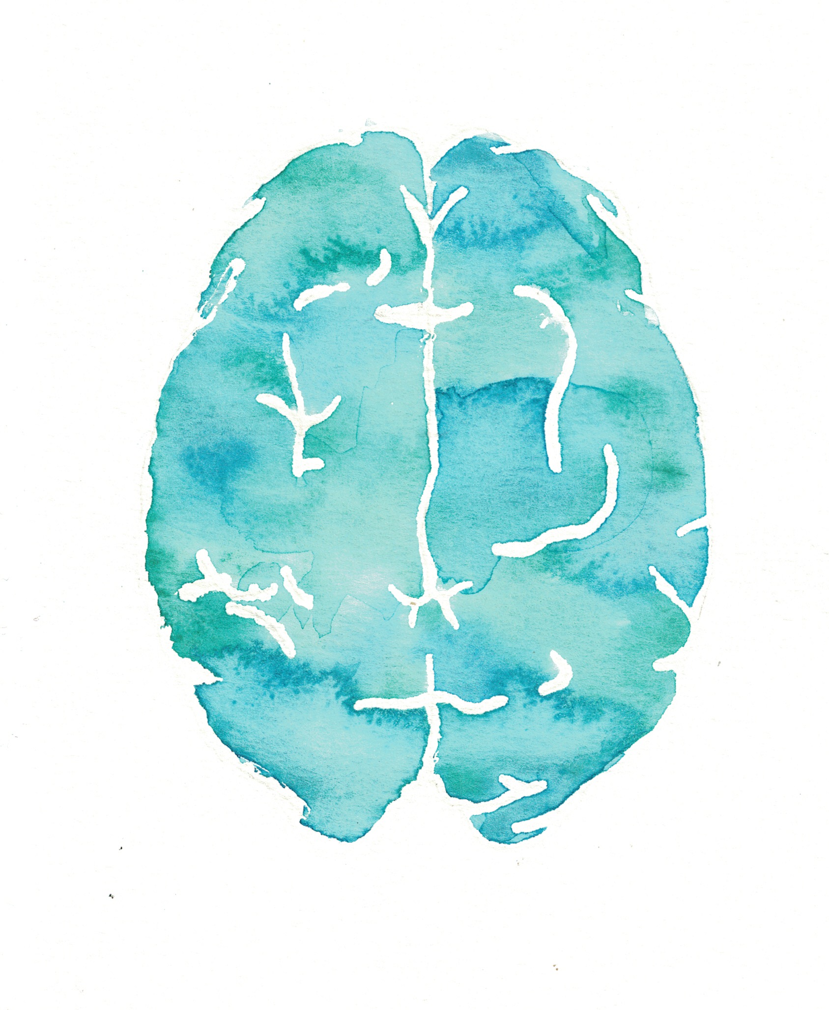 Watercolor painting of brain